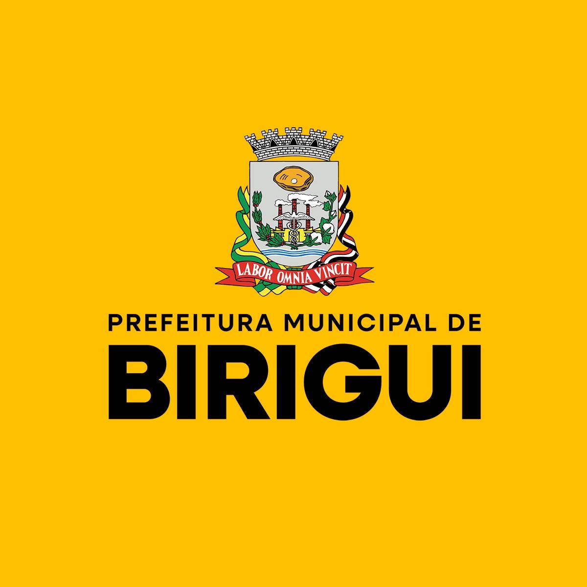 Ícone de Prefeitura - Serviço em Birigui